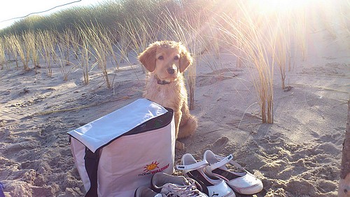 Chinny am Strand