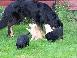 Mit Mutti im Garten