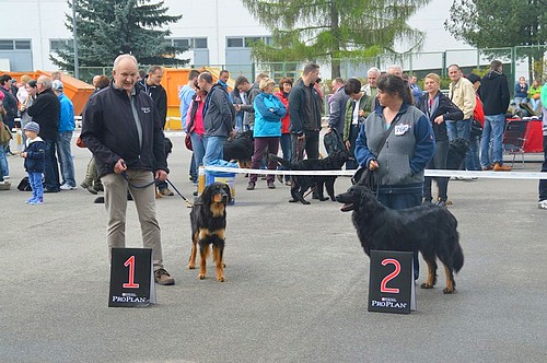 Platziert auf Platz 2