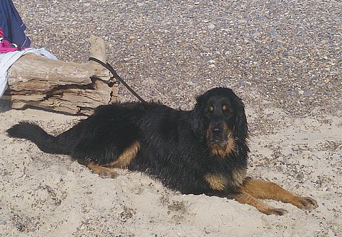 Tag am Strand