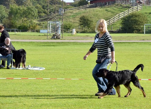 Dotti auf der Ausstellung