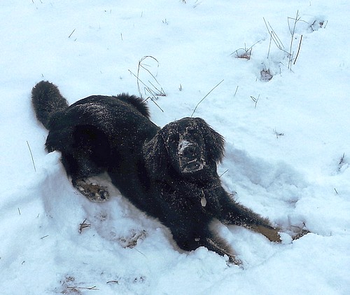 schneebad