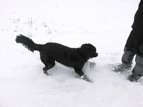 los, kick den Schnee