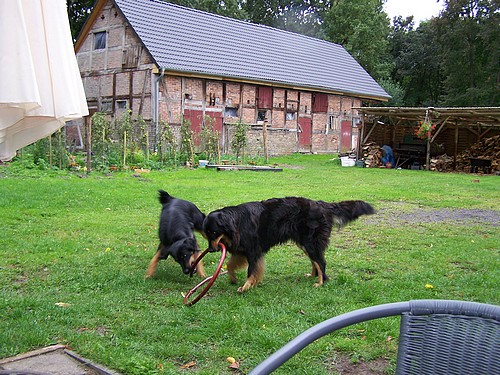 Dwina und Anju beim täglichen Spiel