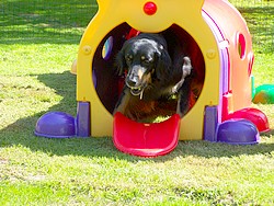 Achtel im Spielplatz