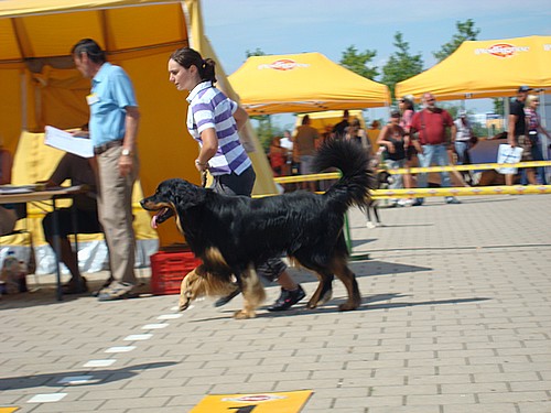 Wunderschön anzusehen