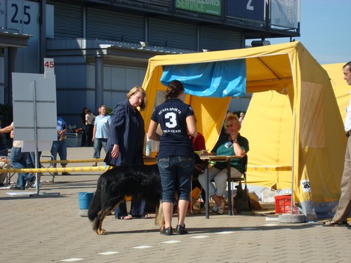 Beurteilung am Richtertisch