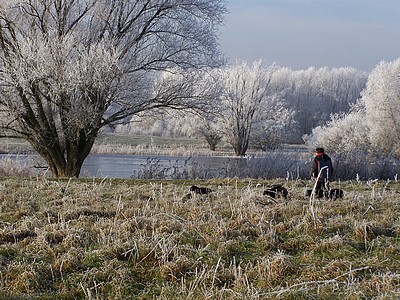 Spazieren im Frost