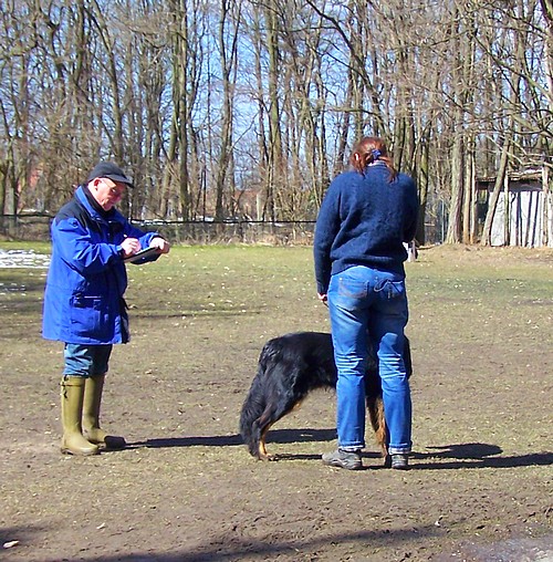 Djin bei der Auswertung