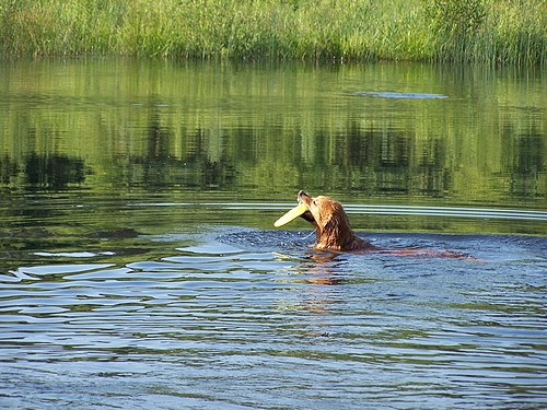 Schwimmen macht ja sooo Spaß