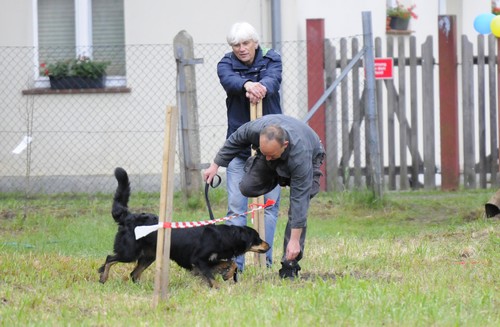 beinahe geschafft